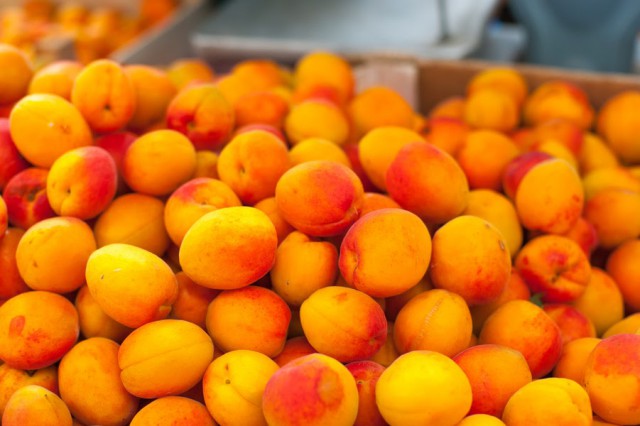 В Калининградской области уничтожат четыре тонны абрикосов из Сербии