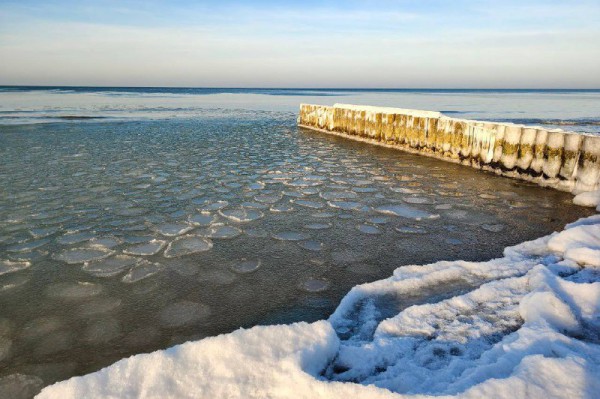 Рядом с берегом Балтийского моря в Зеленоградске заметили ледяные «блинчики» (фото)