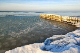 Рядом с берегом Балтийского моря в Зеленоградске заметили ледяные &laquo;блинчики&raquo; (фото)