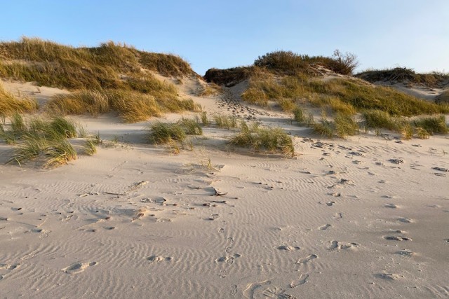 На пляже на Куршской косе нашли тело 40-летнего калининградца