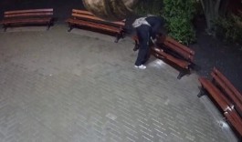 Вандал с пилой из сквера на улице Брамса попал на камеры наблюдения (видео)