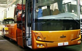 Большинство калининградцев голосует за янтарный цвет новых автобусов
