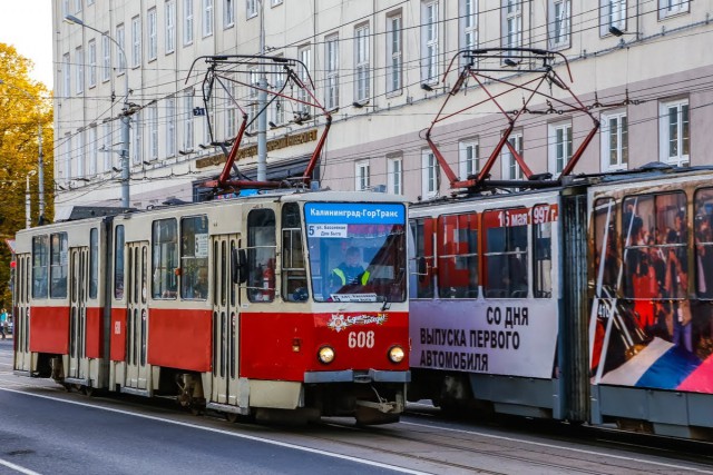 «Кольцевой и три районных»: в Калининграде обсудят запуск новых трамвайных маршрутов