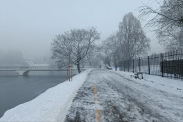 Синоптики прогнозируют в Калининградской области морозную рабочую неделю