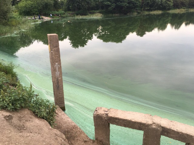 В озере Шенфлиз выявили превышение нормы содержания нефтепродуктов в 780 раз