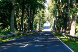 В Калининградской области выделили 519 млн на ремонт дороги Ульяново — Маевка — Высокое