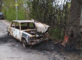 Под Калининградом автомобиль «Жигули» сгорел после столкновения с деревом (видео)