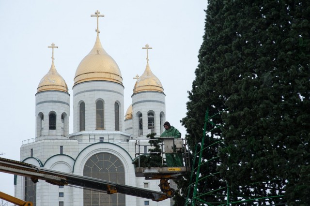 «Без массовых гуляний и со старой ёлкой»: Дятлова рассказала о праздновании Нового года в Калининграде 