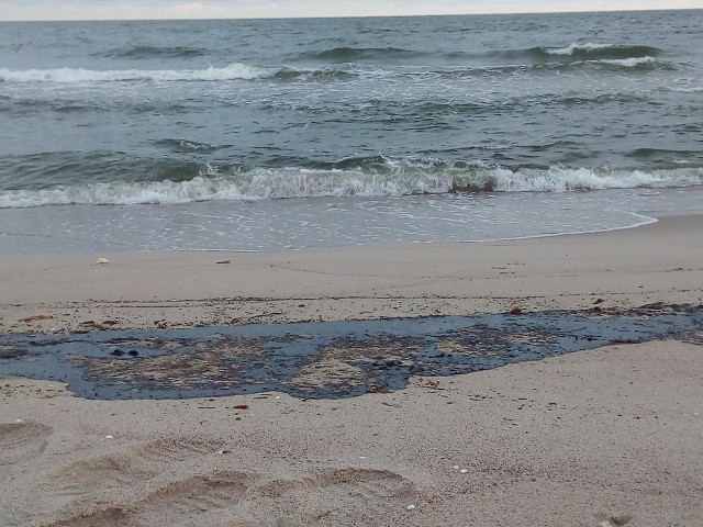 На Балтийской косе очистили 800 метров пляжа после разлива нефтепродуктов из танкера
