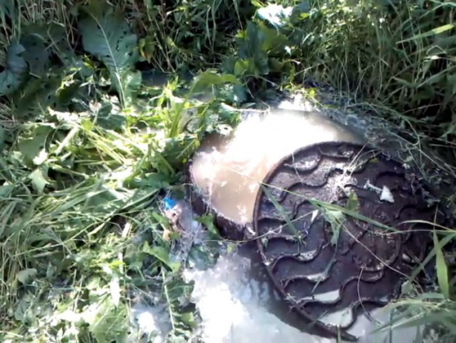 «Зелёный патруль»: Улицу в Мамоново затопило рыбными отходами 