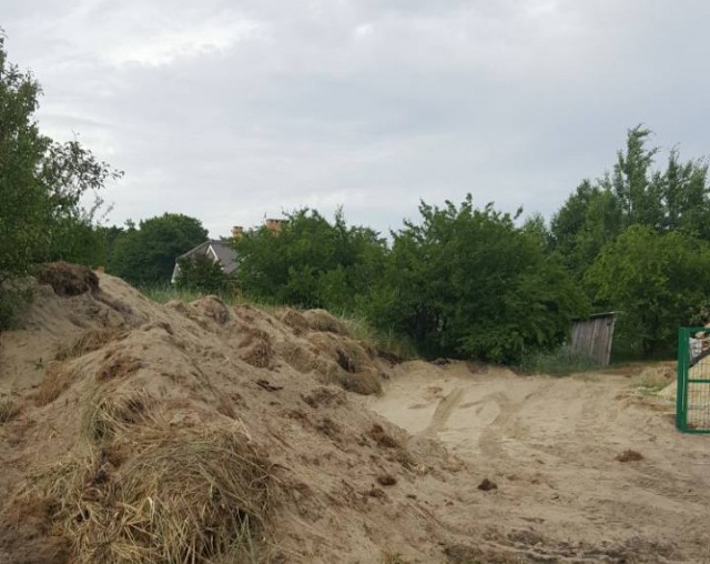 Житель Куршской косы разрушил часть дюны экскаватором ради строительства парковки