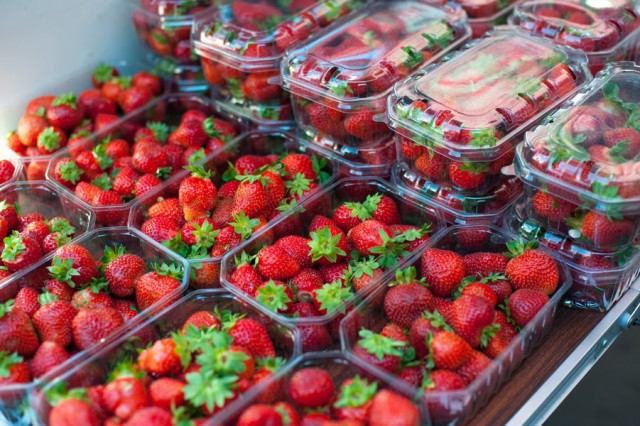 «Самосбор и не только»: где выращивают и продают ягоды в Калининградской области 