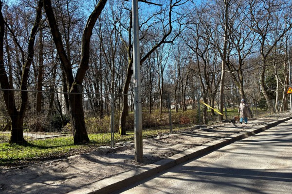 Вдоль ландшафтного парка на улице Галицкого в Калининграде снесли исторический забор (фото)