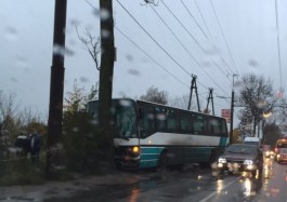 В Калининграде пассажирский автобус врезался в дерево