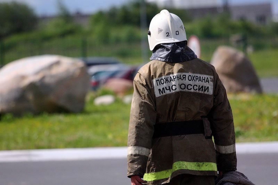 Из-за пала травы в Калининграде чуть не загорелся газопровод
