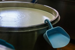 Завод по переработке молока в Черняховске планируют сдать в начале 2025 года