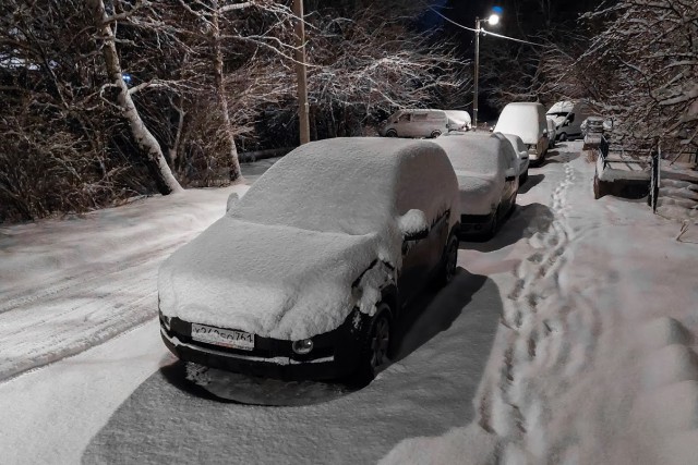 В мэрии Калининграда нашли виновных в плохой уборке улиц от снега