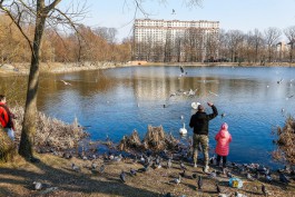 В Калининградской области ожидается потепление до +16°С на рабочей неделе
