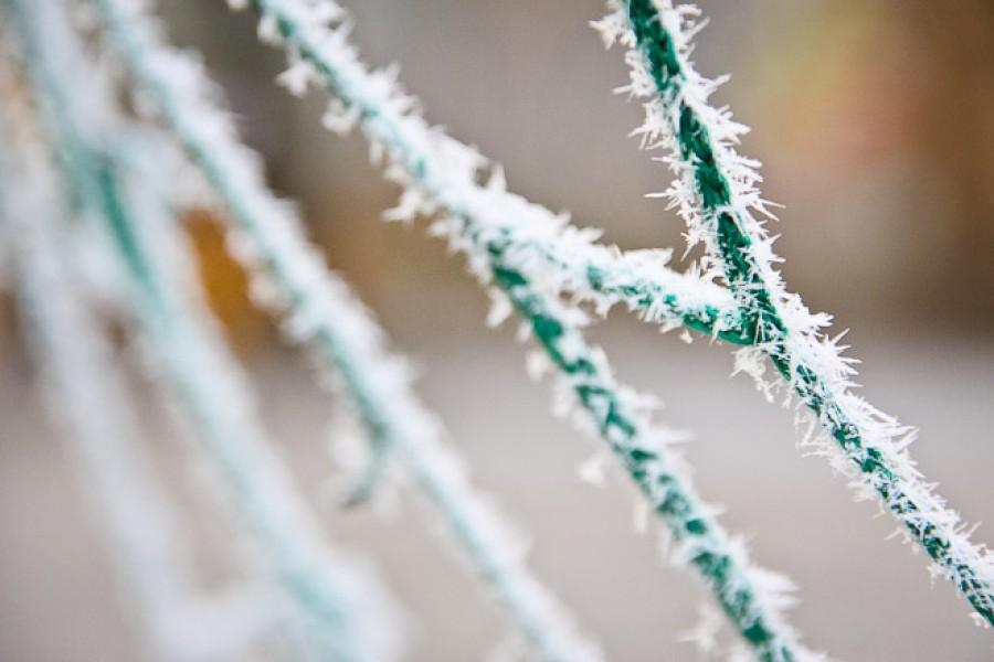 МЧС предупреждает о заморозках в Калининградской области