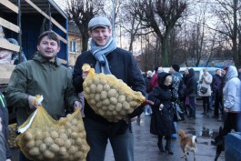Фура с картофелем для многодетных семей Светловского округа (фото)