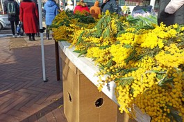 «Конкуренция за рынок»: как в Калининграде торгуют цветами к 8 Марта