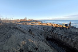 В районе устья Алейки под Зеленоградском обустроили деревянные сваи на 110-метровом участке