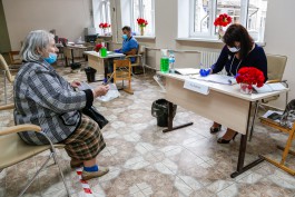 «Песни, лещ и тридцать кошек»: как голосовали по поправкам в Конституцию в разных районах Калининграда