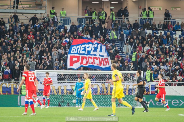 В Калининграде приставы отправили болельщика в камеру в день матча сборной России по футболу
