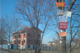 С начала года в Калининградской области демонтировали с деревьев более 600 рекламных щитов