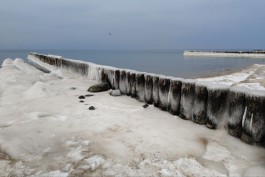 Жителей и гостей Зеленоградска предупреждают об опасности выхода на лёд на берегу моря
