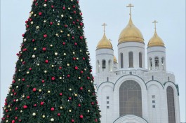 На площади Победы в Калининграде украсили новогоднюю ёлку  (фото)