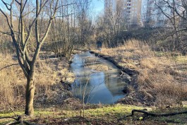 Прокуратура нашла бесхозный источник загрязнения Гагаринского ручья в Калининграде