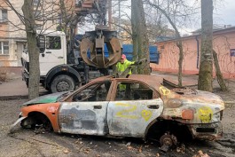 В Калининграде признали бесхозными 20 автомобилей  (фото)
