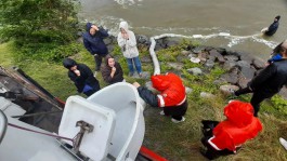 В Куршский залив выпустили ещё 655 тысяч мальков сига