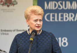 Президент Литвы хочет разместить комплексы Patriot для защиты от России