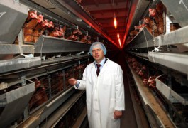 Зарудный: Снижение цен на куриные яйца ожидается в сентябре