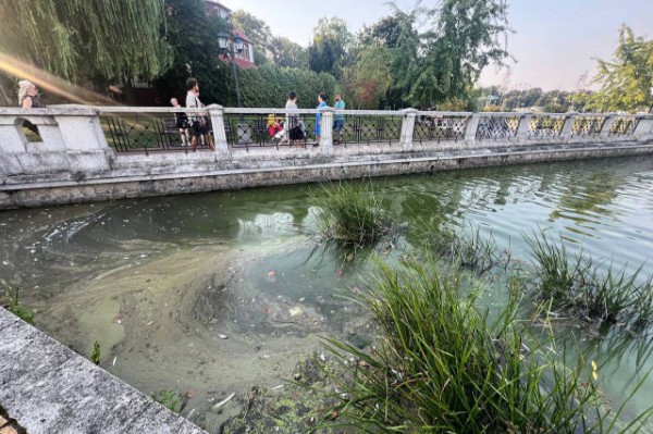 К расчистке Верхнего озера в Калининграде планируют приступить в начале 2026 года