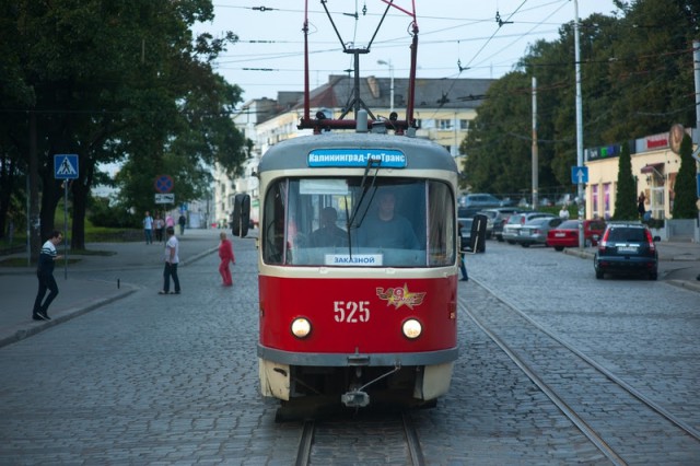 «Трамвай или электробус»: калининградцам предложили решить судьбу общественного транспорта