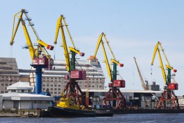 В Калининградскую область не пустили 103 тонны скумбрии с Фарерских островов