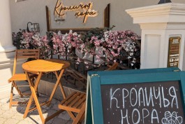 &laquo;&bdquo;Кроличья нора&ldquo; на проспекте Мира&raquo;: гастрономическое путешествие в сказку 