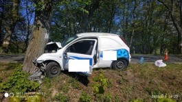 В Зеленоградском округе водитель Opel врезался в дерево