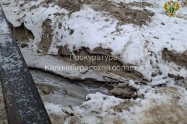 Прокуратура проверяет информацию о сливе сточных вод на пляж и променад в Янтарном