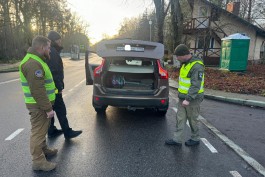 На Куршской косе усилили охрану хвойных деревьев перед Новым годом