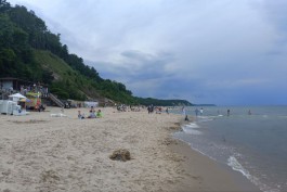 Синоптики прогнозируют до +25°C и дожди на рабочей неделе в Калининградской области 