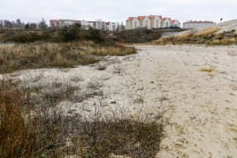 Суд обязал Минэкологии исключить из лесного фонда участок под застройку рядом с морем в Янтарном