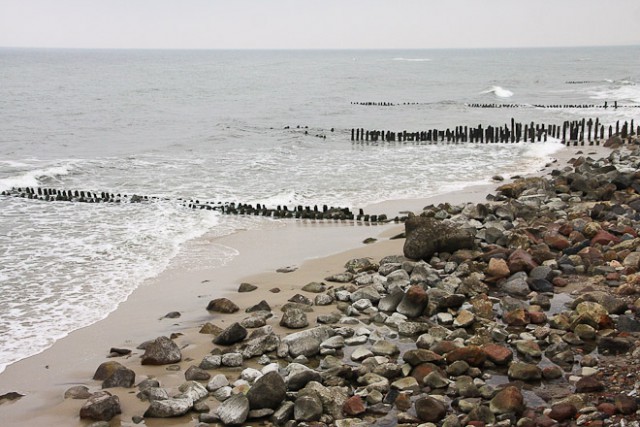 Жители Пионерского сообщают о россыпях янтаря на пляже