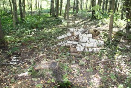 В лесу пос. Космодемьянского обнаружен склад боеприпасов