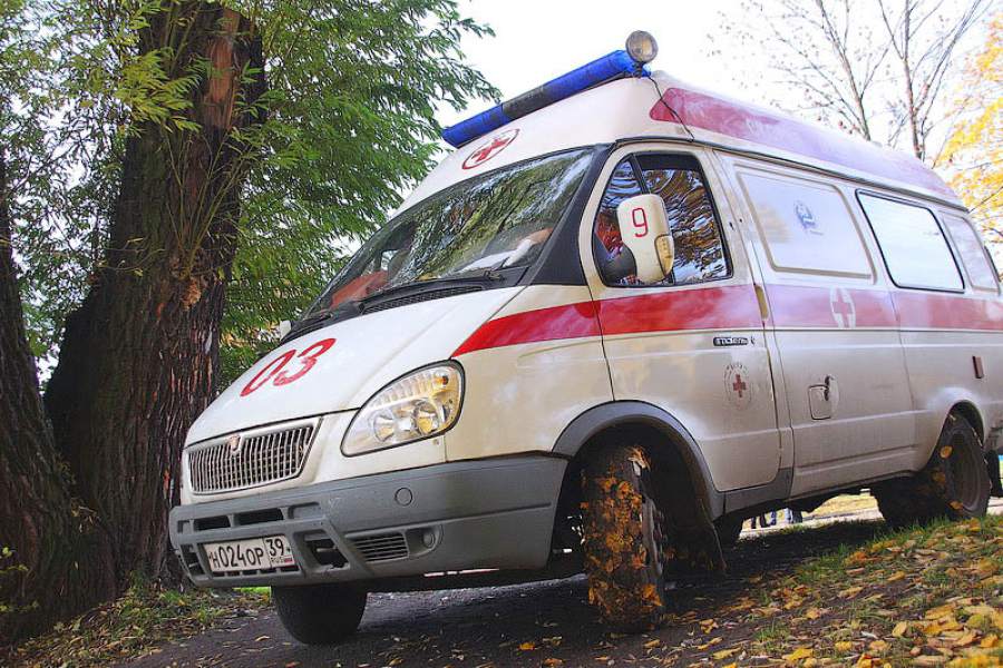 На трассе Калининград — Полесск под колёсами автомобиля погибла женщина