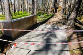 «Трёхцветный клинкер вокруг деревьев»: как благоустраивают Лиственничный парк в Светлогорске 