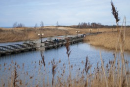 На капитальный ремонт променада в Янтарном выделили 3,8 млн рублей